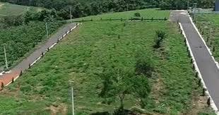 co-duoc-hien-dat-mo-duong-de-tach-thua