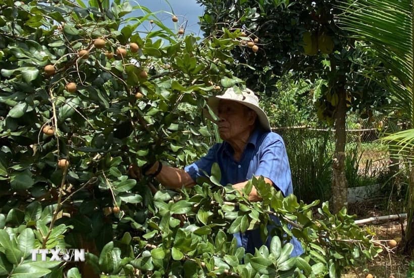 Những cựu chiến binh viết tiếp câu chuyện kinh tế thời bình