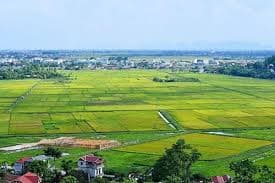 co-phai-trinh-hdnd-tinh-cac-du-an-chuyen-muc-dich-su-dung-dat