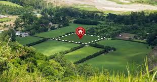 Đất sử dụng sai mục đích sau 1/7/2014 phải khôi phục hiện trạng