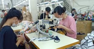 cong-ty-ngung-hoat-dong-lam-the-nao-de-huong-che-do-thai-san