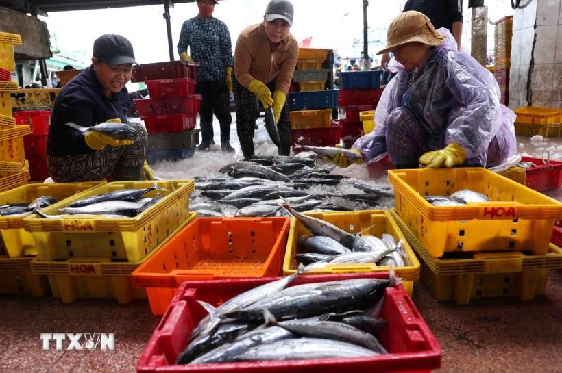 viet-nam-dat-ket-qua-tuong-doi-tich-cuc-trong-no-luc-go-the-vang-iuu