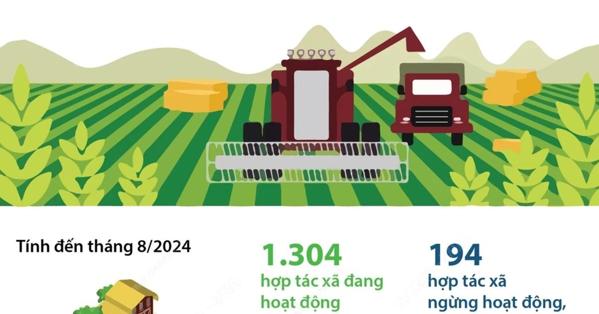 ha-noi-co-gan-1500-hop-tac-xa-nong-nghiep