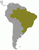Bra-xin