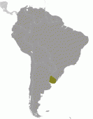 U-ru-goay