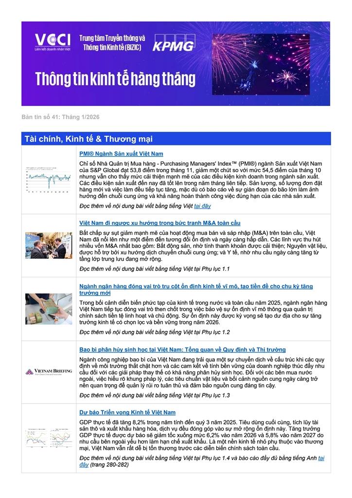 Bản tin VCCI - KMPG số 41