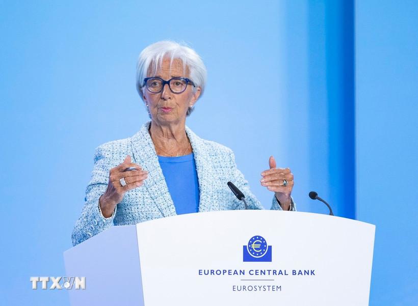 Chủ tịch ECB: AI chưa gây ra làn sóng sa thải tại Eurozone