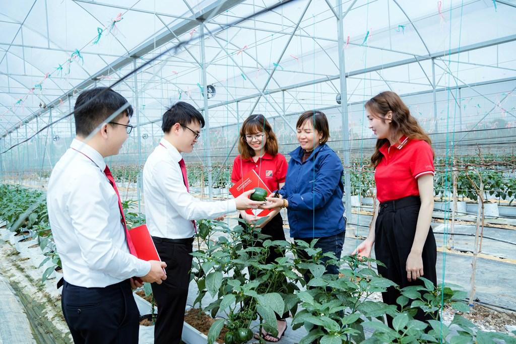 Vì sao doanh nghiệp vẫn khó tiếp cận vốn mồi xanh?