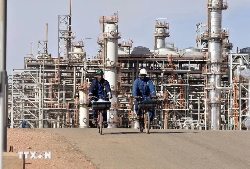 Algeria tham vọng trở thành nhà cung cấp năng lượng sạch chủ chốt cho châu Âu