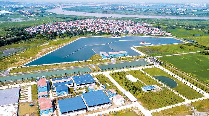 Công ty con Tập đoàn AquaOne huy động gần 900 tỷ đồng trái phiếu