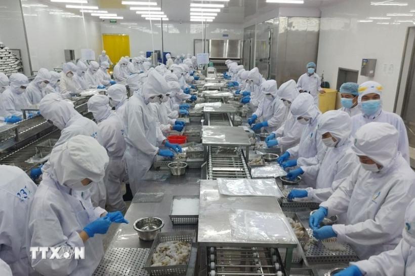 ASEAN và Ấn Độ cập nhật hợp tác thương mại trong tình hình mới
