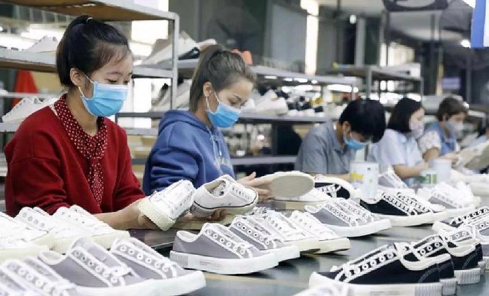 Doanh nghiệp Việt cần cơ chế đón đầu xu thế kinh tế tuần hoàn