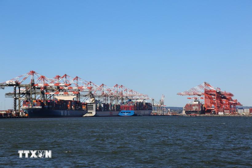 Thuế quan của Mỹ chưa rõ ràng, doanh nghiệp khó đưa ra quyết định