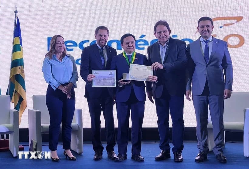 viet-nam-tang-cuong-quan-he-hop-tac-voi-cac-dia-phuong-brazil