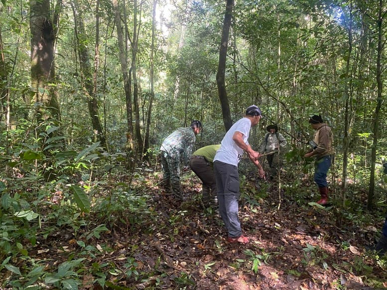 vat-lieu-go-xay-dung-goc-nhin-tu-thi-truong-nguyen-lieu-den-chien-luoc-lam-nghiep