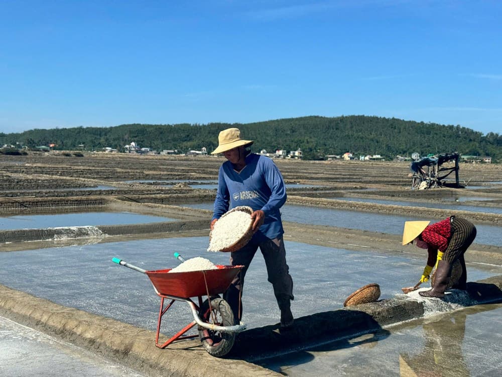 Diêm dân Sa Huỳnh phấn khởi khi giá muối tăng kỷ lục