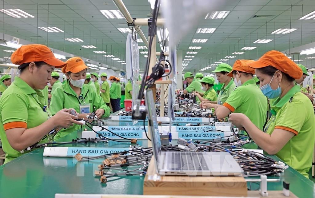 Vượt sóng, đón vận hội mới