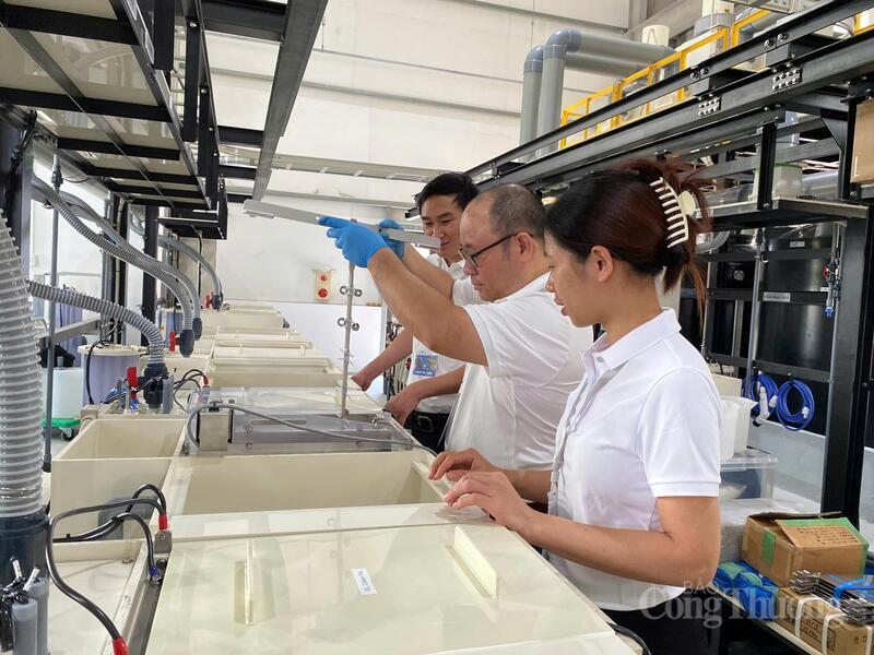 Sản xuất khởi sắc: Chuyên gia, doanh nghiệp nói gì?