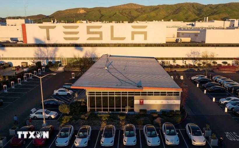 Doanh số bán xe của Tesla tại châu Âu giảm dù thị trường xe điện phục hồi