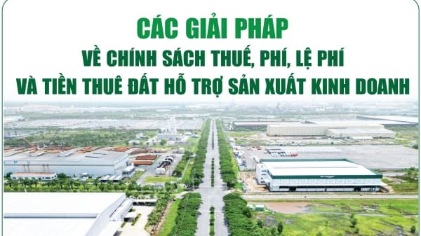 infographics-cac-giai-phap-ve-chinh-sach-thue-phi-le-phi-va-tien-thue-dat-ho-tro-san-xuat-kinh-doanh