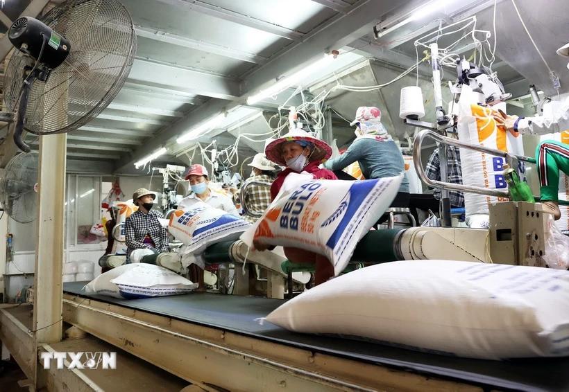 thi-truong-nong-san-gia-gao-xuat-khau-giam-truoc-suc-ep-canh-tranh-ve-gia