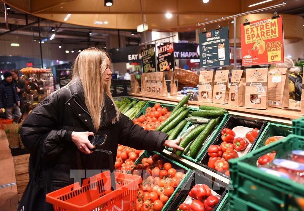 Eurozone: Lạm phát ổn định trong tháng 11/2025