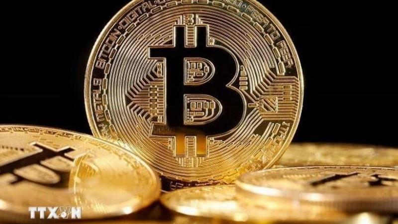 trong-thoi-gian-thi-diem-giao-dich-tai-san-ma-hoa-duoc-quan-ly-thue-theo-khung-chung-khoan