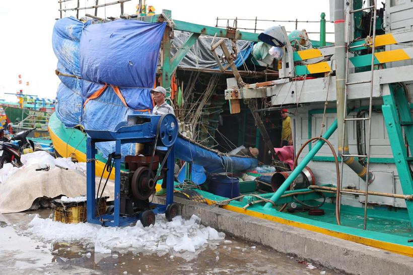 ngu-dan-thanh-pho-ho-chi-minh-phan-khoi-ra-khoi-ky-vong-mua-bien-boi-thu