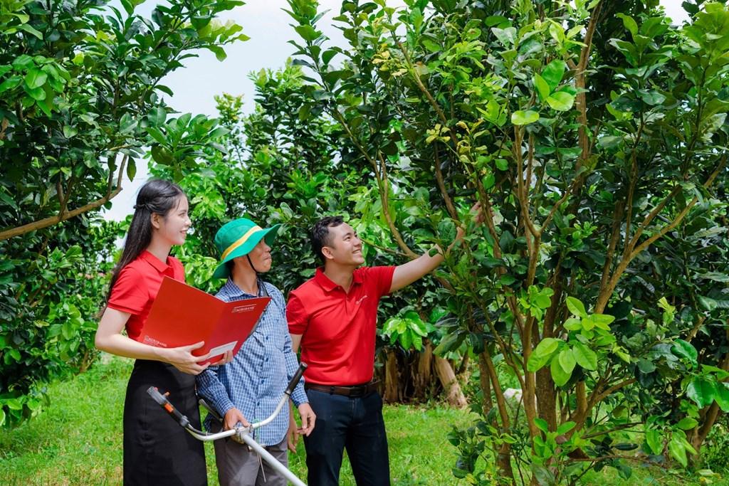 agribank-danh-uu-dai-lon-nang-tam-ho-kinh-doanh