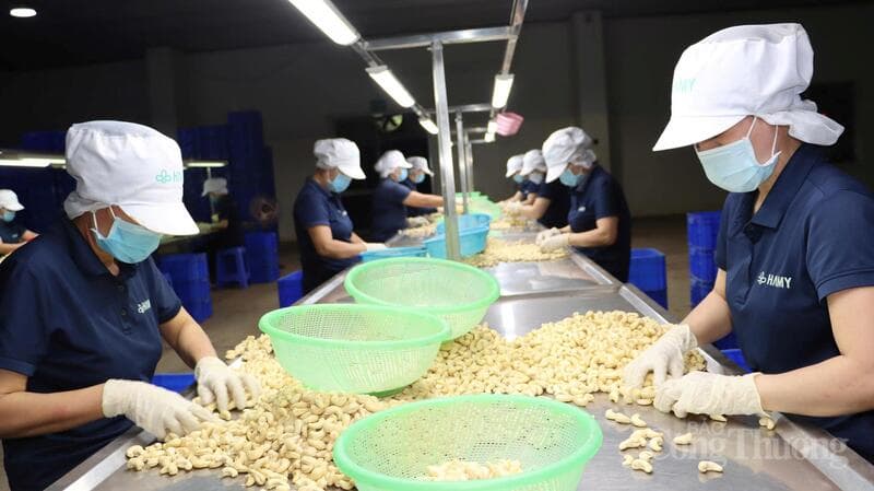 Muốn ra biển lớn, nông sản Việt phải mặc 'giáp' tiêu chuẩn