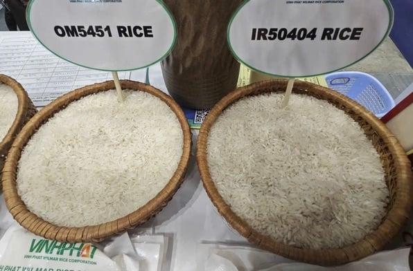 Doanh nghiệp xuất khẩu gạo, cà phê kiến nghị bỏ thuế VAT