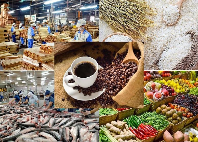 Thị trường hàng hóa: Nhóm nông sản phục hồi trở lại