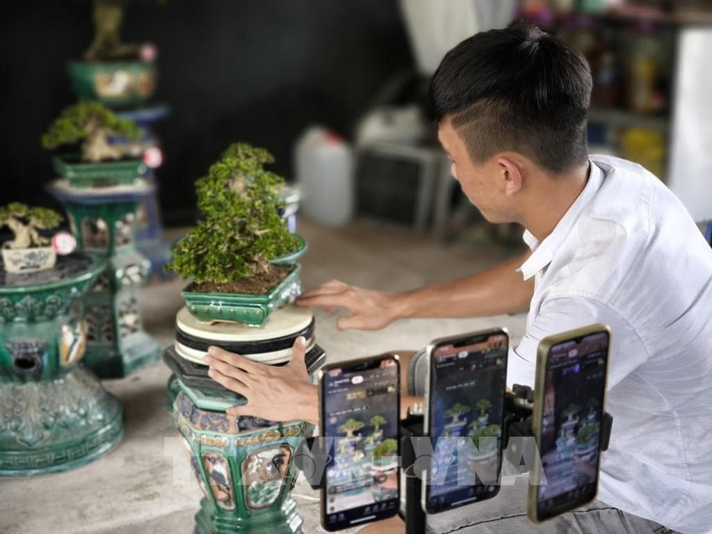 Phê duyệt Chương trình vươn ra thị trường quốc tế giai đoạn 2026 - 2030