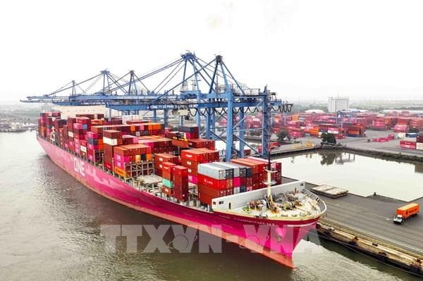 doanh-nghiep-ha-lan-san-sang-dau-tu-tai-cang-lien-chieu