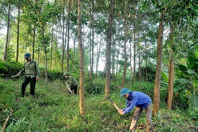 Cần khối tư nhân vào cuộc, gỡ điểm nghẽn về vốn cho thị trường các-bon