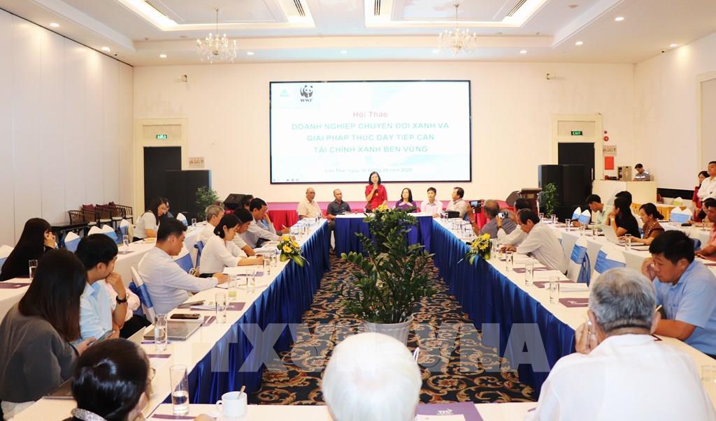 Đồng bằng sông Cửu Long: 61% doanh nghiệp mong được ưu tiên tiếp cận tài chính xanh