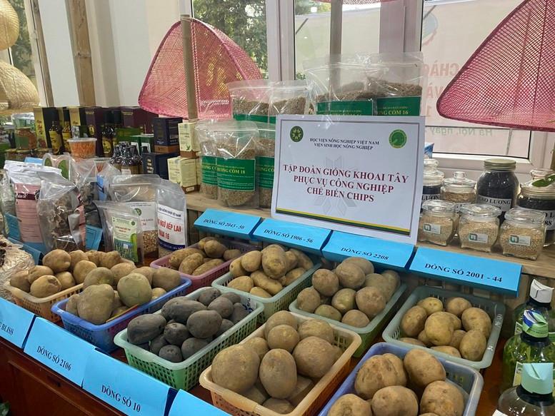 dua-nong-san-bay-xa-bang-con-duong-ngoai-giao