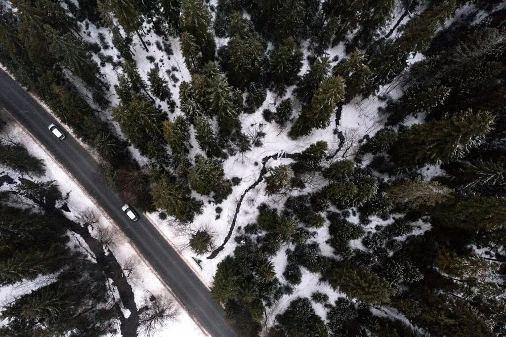 hon-150-quoc-gia-giong-hoi-chuong-canh-bao-noi-am-anh-ve-tang-truong-dang-huy-hoai-da-dang-sinh-hoc