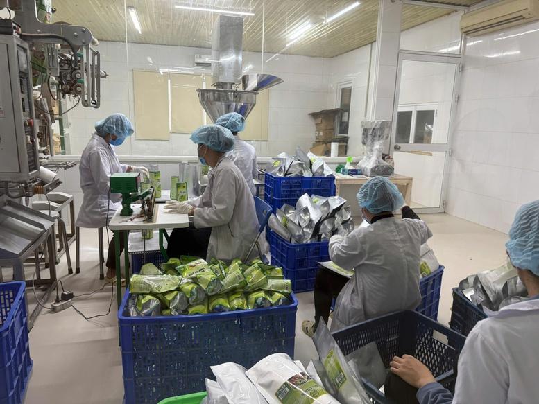 xuat-khau-nong-lam-thuy-san-nhieu-nganh-hang-tang-toc-mo-rong-thi-phan