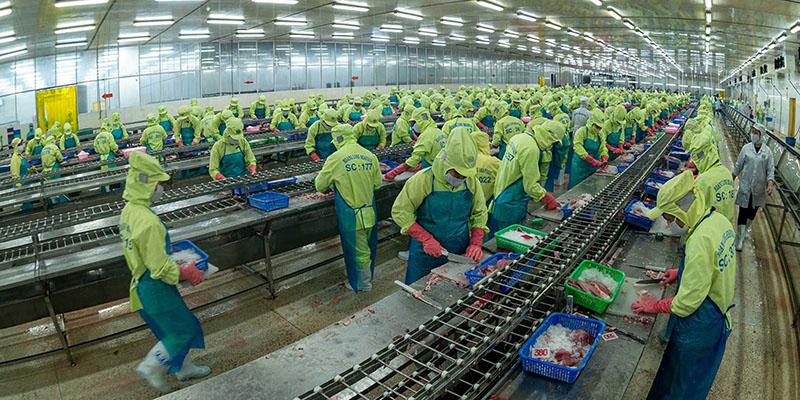 dong-thap-muon-xay-dung-chuoi-lien-ket-cho-nganh-hang-nong-nghiep-chu-luc