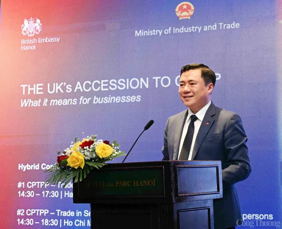 viet-nam-anh-thuc-thi-quyen-so-huu-tri-tue-theo-cptpp