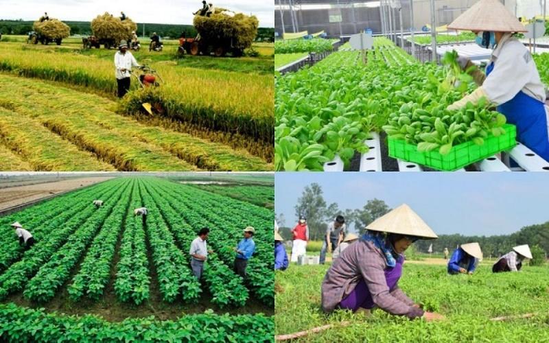 quy-dinh-moi-ve-quy-ho-tro-phat-trien-hop-tac-xa