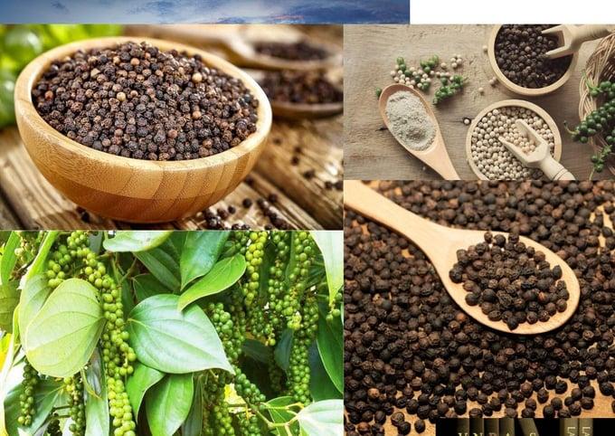 Hiệp hội Hồ tiêu kiến nghị bỏ thuế VAT vì thu chỉ 55 tỷ, hoàn đến 2.135 tỷ đồng