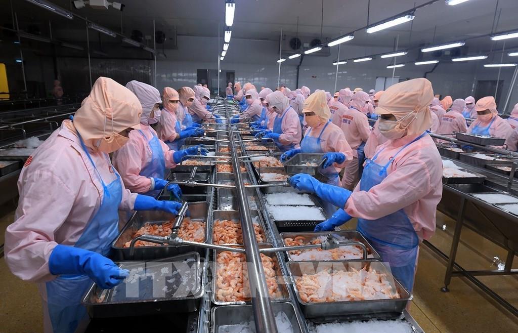Hoa Kỳ công bố kết quả sơ bộ về thuế chống bán phá giá với tôm Việt
