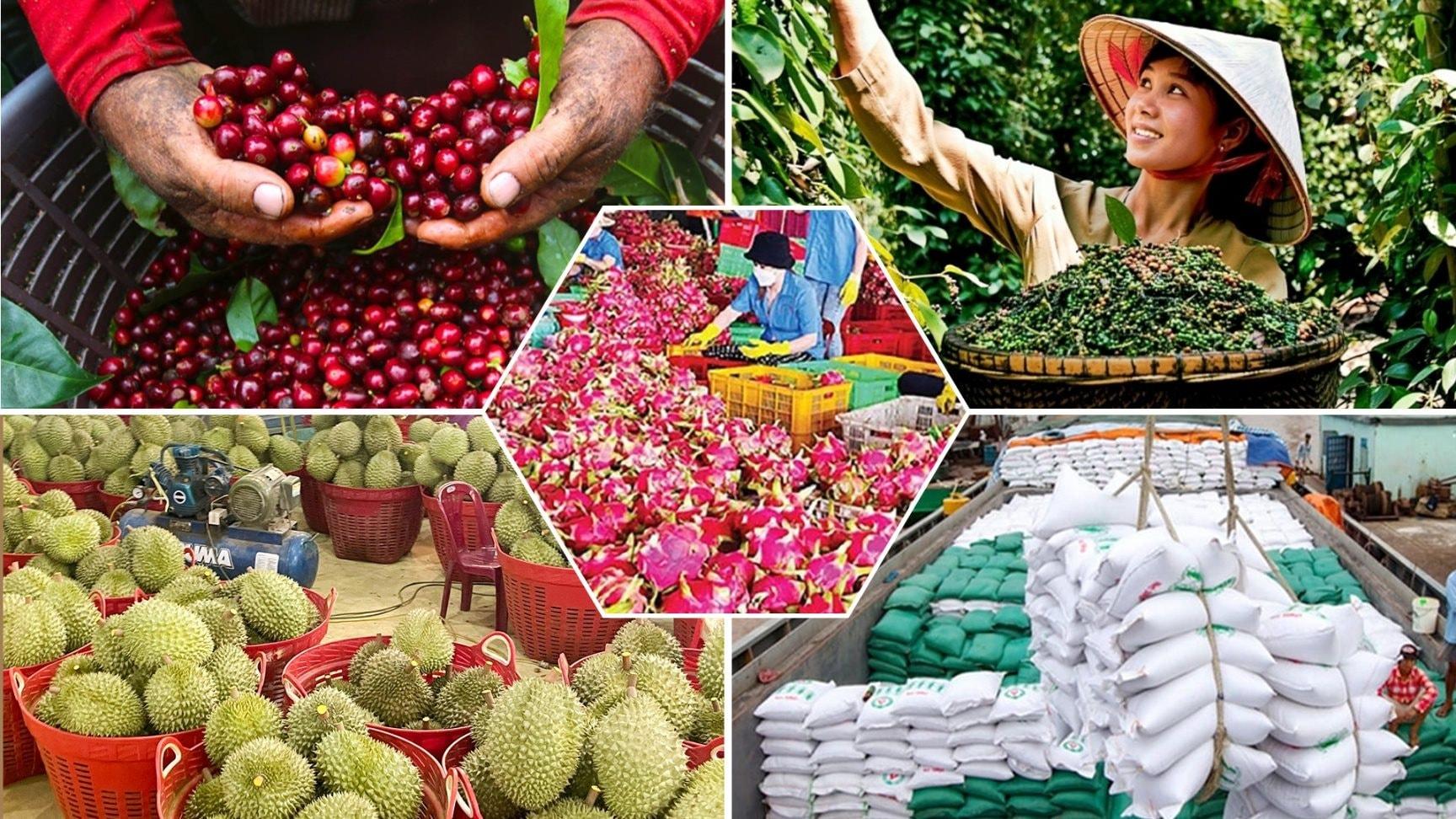 de-nganh-nong-san-viet-nam-but-pha-trong-nam-2026