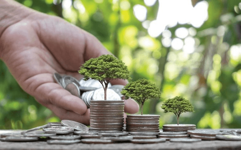 cop30-lo-ngai-nguy-co-dut-gay-tai-chinh-khi-hau-toan-cau