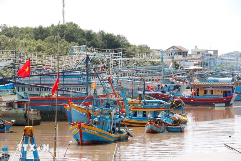 Khánh Hòa triển khai nhiều giải pháp nâng cao trách nhiệm chống khai thác IUU