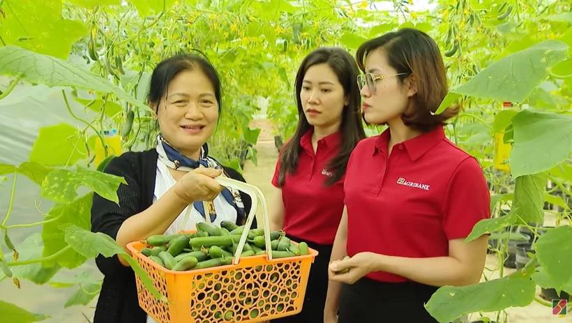 agribank-danh-50000-ty-dong-uu-dai-lai-suat-tiep-suc-ho-kinh-doanh