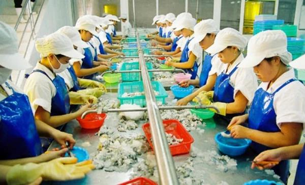 Doanh nghiệp thuỷ sản chỉ ra 7 nhóm vướng mắc lớn của Luật Thuế VAT