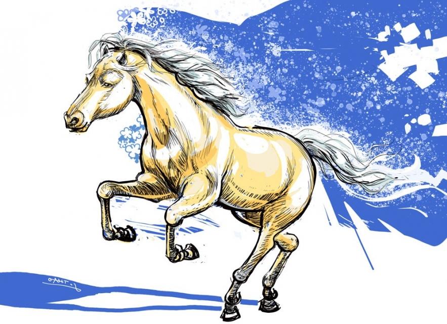 dau-vo-ngua-tren-duong-dai-dan-toc